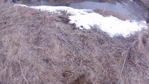 Поиск с ака сорекс про открытие 2018