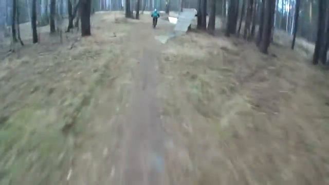 полёт шмеля смотреть онлайн