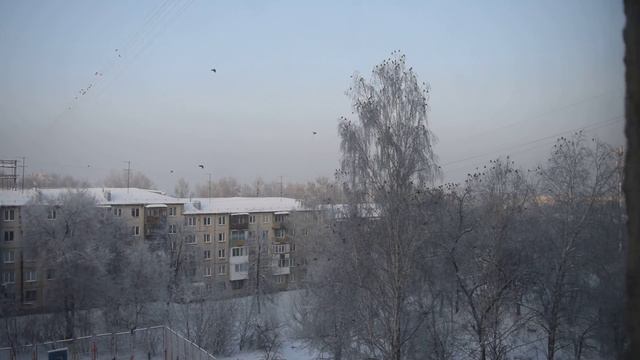 Свиристели прилетели смотреть онлайн