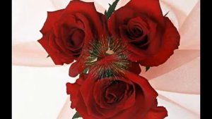 ЗАСТАВКА -РОЗА