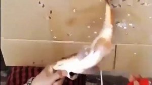 Профессиональная электрическая рыбочистка.