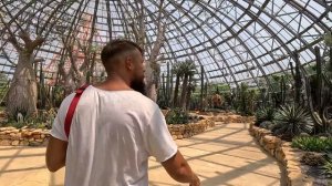 НЯЧАНГ 2023, ВЬЕТНАМ. ТАКОГО МЫ НЕ ОЖИДАЛИ! Большой выпуск: отели, еда, парк развлечений ВИНПЕРЛ