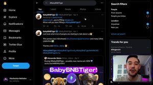 BabyBNBTiger - НЕ ПОЗДНО ЗАХОДИТЬ? КОГДА НОВЫЙ ATH?