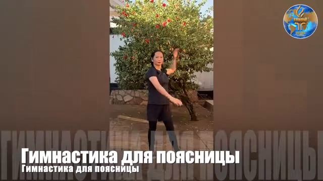 Гимнастика для поясницы смотреть онлайн