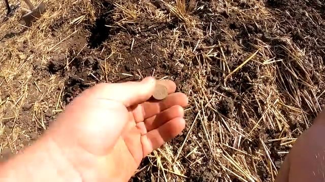 Склепы на старом кладбище / нашёл там непонятную монету 10 ничего и другие странные находки
