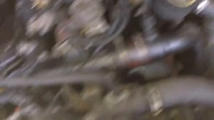 В-3334 ДВС (Двигатель) Ford Transit (1995-2000) 1997, 2.5td, 4GE