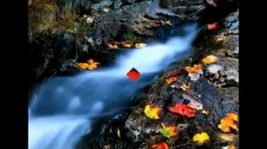 СЛЕЗЫ   ОСЕНИ . --  Бутырка .