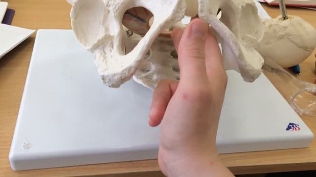 Влагалищное исследование у роженицы
