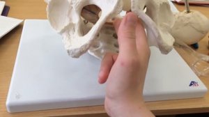 Влагалищное исследование у роженицы