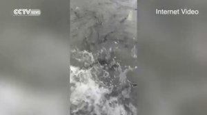 После наводнения на улицах китайского города Ухань оказалось огромное количество рыбы