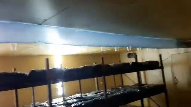 Микрокамера для выращивания шампиньона с нуля! Как построить камеру с нуля от друга подписчика! смотреть онлайн