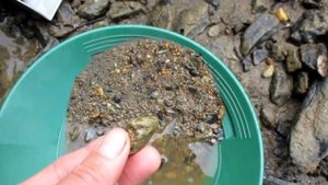 Золото много: мыть не перемыть