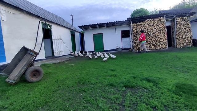 Украинское село🌻Собралась убегать от работы из села в город.