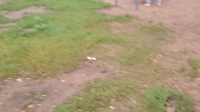 ЭКСТРЕМАЛЬНЫЕ ПРЯТКИ В ПАРКЕ!