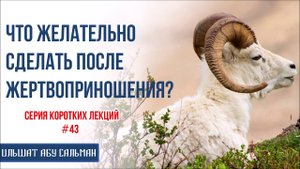 Ильшат Абу Сальман. Что желательно сделать после жертвоприношения? Серия лекций Курбан-Байрам