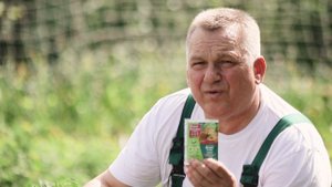 Борьба с личинками колорадского жука на картофеле.