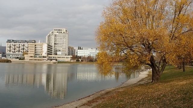 Olympus PEN E-PL8 смотреть онлайн