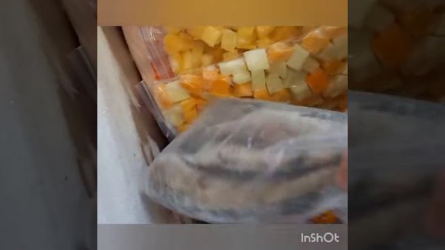 № 186 -  Ревизия в\ морозильном ларе\ петунья всходит на шестой день\ смотреть онлайн