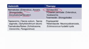 USMLE RX - 7.Микробиология - 1.Антимикробные средства - 33.Противоглистная терапия