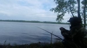 РЫБАЛКА 2020 на поплавочную удочку