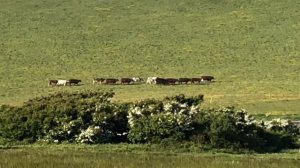 ПЕШАЯ ПРОГУЛКА ПО АНГЛИИ: СКАЛЫ СЕМЬ СЕСТЕР В АНГЛИИ - СЕВЕН СИСТЕРС АНГЛИЯ