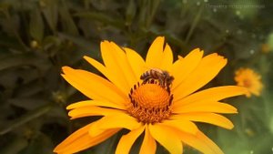 Проснись и пой.  Лариса Мондрус