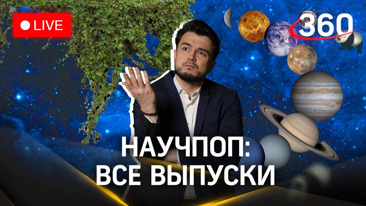 Почему 8 дней