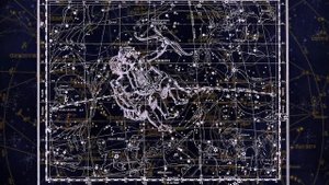 Близнецы в год Змеи - характер