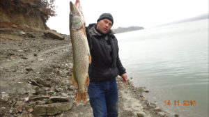 Щука монстер На живца