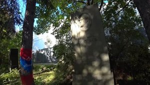 Зиновий Соловьев Мария Бабанова