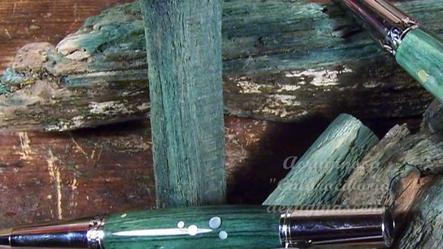 Les champignons comestibles смотреть онлайн