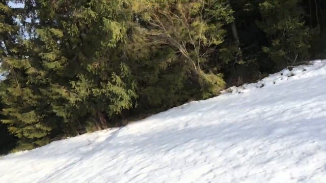 Suzuki king quad 750