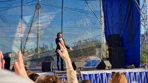 Кай Метов Роза чайная