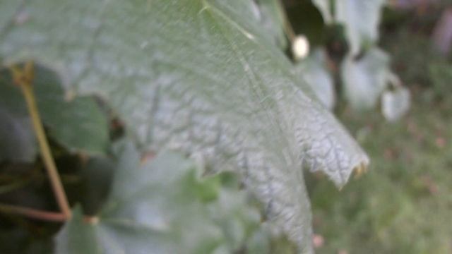 Sony Cybershot DSC-WX7 Full HD test 3 смотреть онлайн