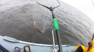 Осенний судак троллингом