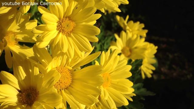 ОЧЕНЬ ВАЖНО! 21 ДЕКАБРЯ ЭРА ВОДОЛЕЯ ПРОШЛОЕНАСТОЯЩЕЕБУДУЩЕЕ ЦИВИЛИЗАЦИИ !
