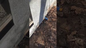Входная группа из гранита, по шагам. Установка гранита на (?). Подпишись #гранит #навес #сделайсам
