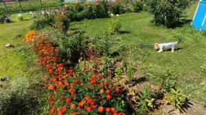 Дайте сове.Снимай кино😊