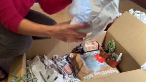 Unboxing of cacti and succulent from an on-line shop