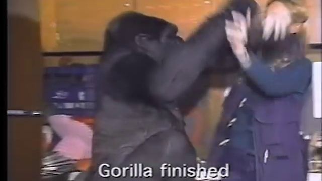 A Conversation With Koko смотреть онлайн