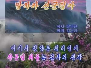 Песня КНДР — Скажи, дорога Сонгун — кавер на аккордеоне Weltmeister 말하라 선군길아
