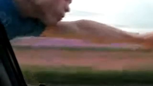 Леха-супермен.3gp смотреть онлайн