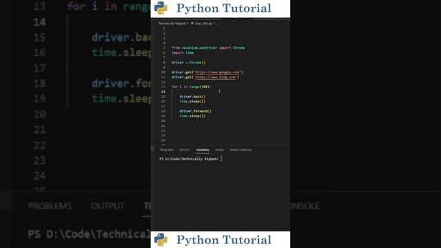 Navigating Websites With Selenium | Python Tutorial