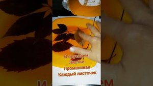 Маринование Листьев в глицерине своими руками