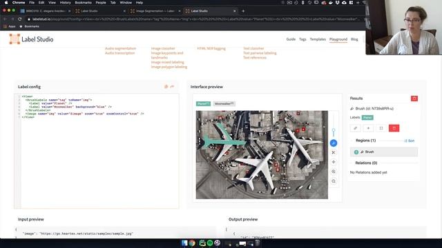 Setup a High Content Screening Imaging Platform with Label Studio смотреть онлайн
