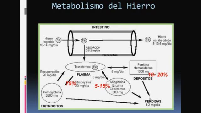 Tmmed pediatría - 4 27 смотреть онлайн