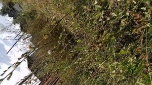 вторая часть фильма про войну