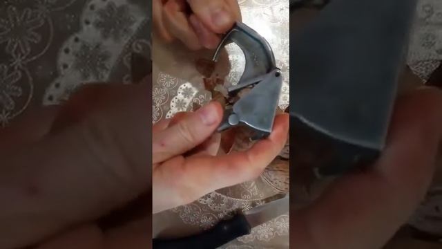 Как быстро почистить грецкий орех