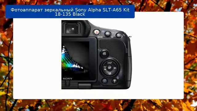 Фотоаппарат зеркальный Sony Alpha SLT-A65 Kit 18-135 Black обзор и отзыв смотреть онлайн