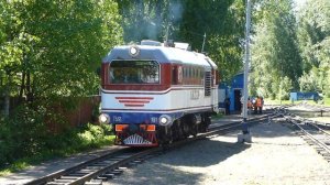 Тепловоз ТУ2-191